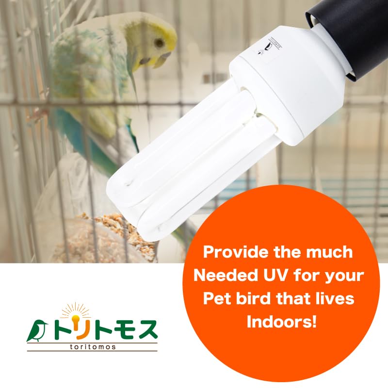 Bird Cage UVB Light Combo Kit 2.4% UVB UVA 20W Compact Fluorescent Bulb Z3822