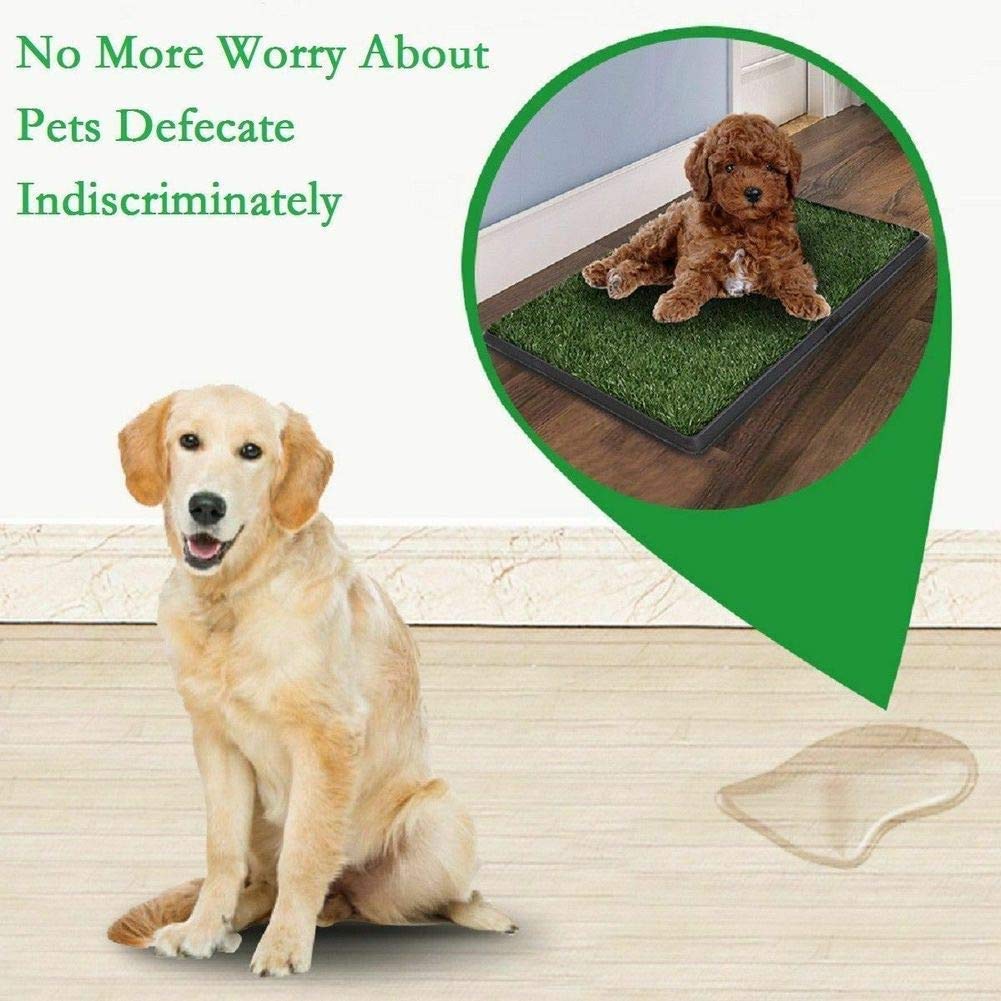 Indoor Outdoor Dog Potty Trainer 20" X 25" W6347