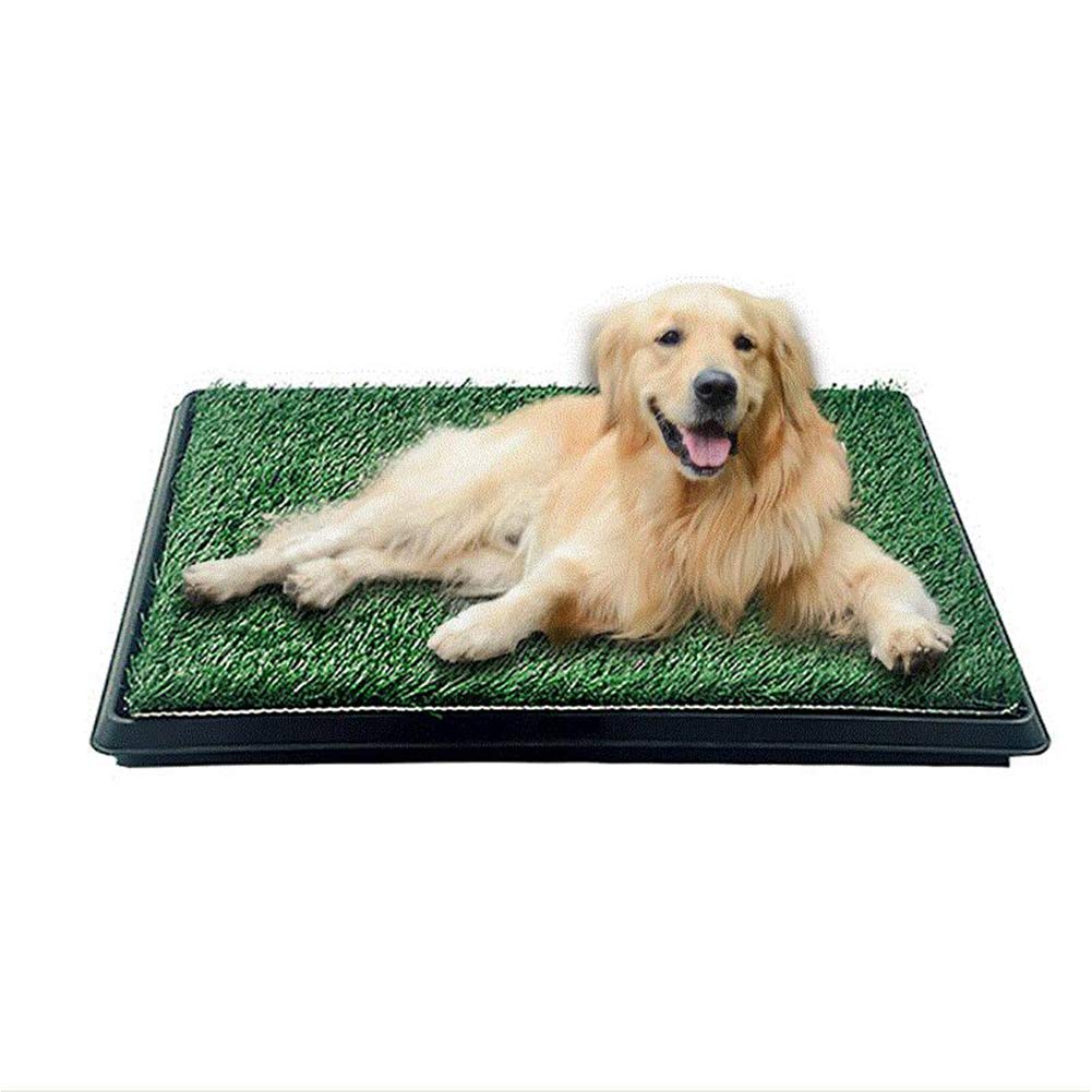 Indoor Outdoor Dog Potty Trainer 20" X 25" W6347