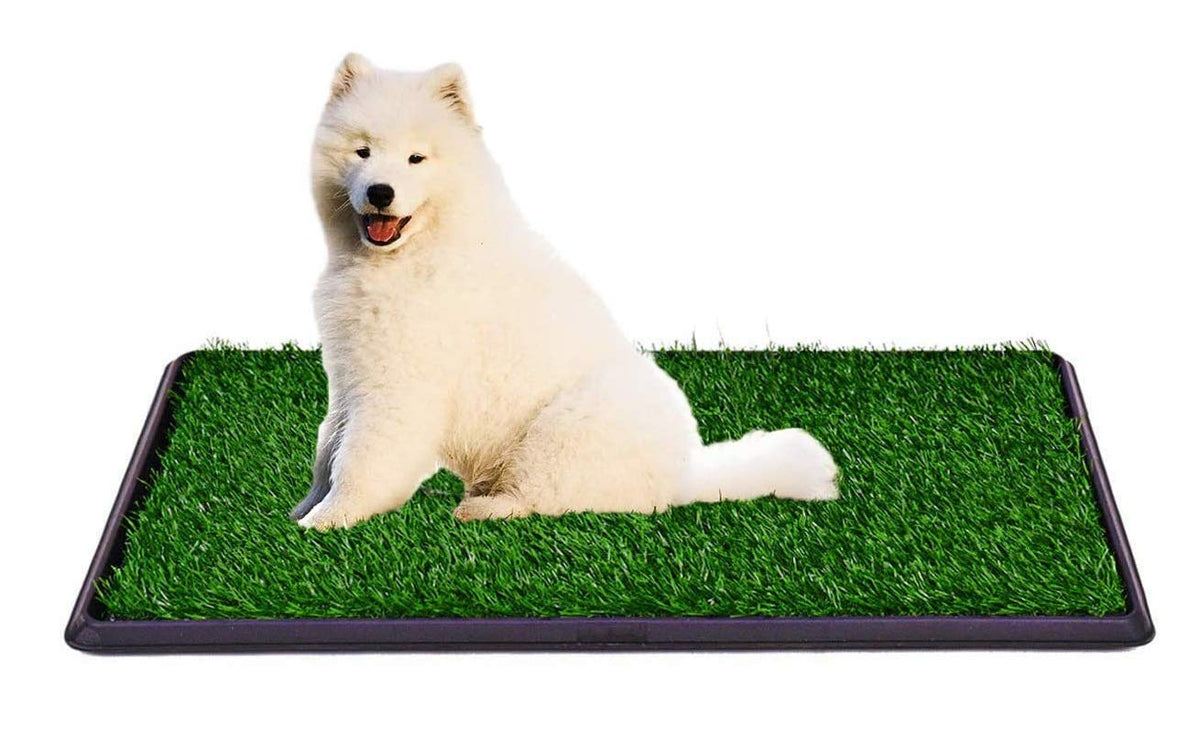 Indoor Outdoor Dog Potty Trainer 20" X 25" W6347
