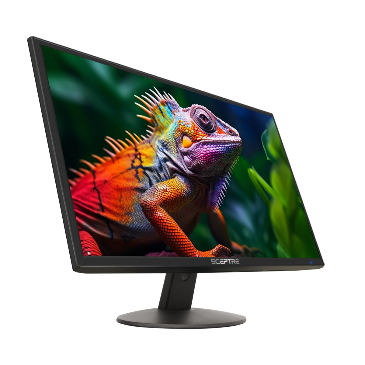 24-inch 1080p LED Monitor P64275