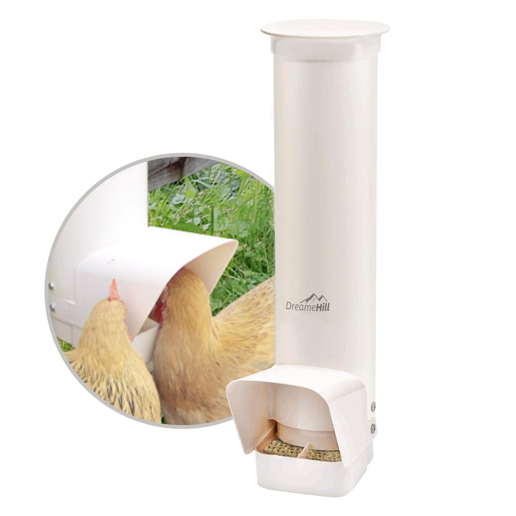 Automatic 7lb PVC Chicken Feeder H6678