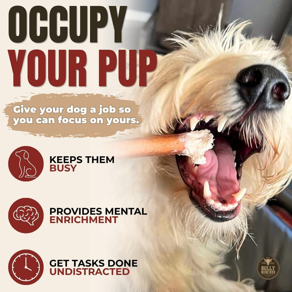 6" 5 Pack Odor-Free Bully Sticks Dog Treats U240619