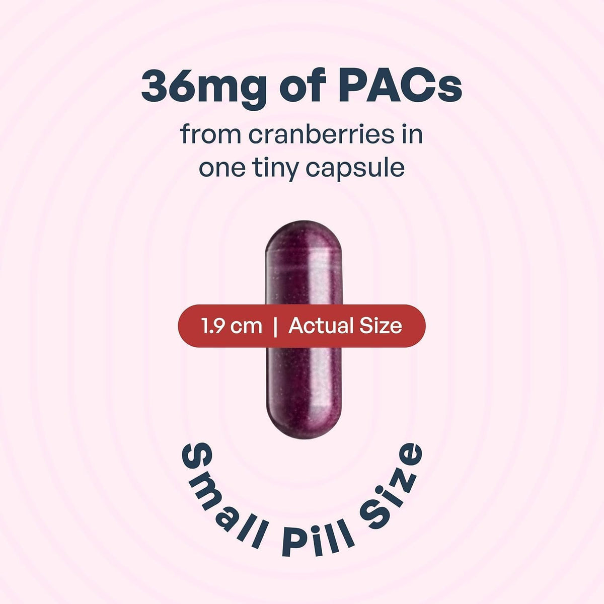 Cranberry PACs 36 mg 30 Capsules D6335