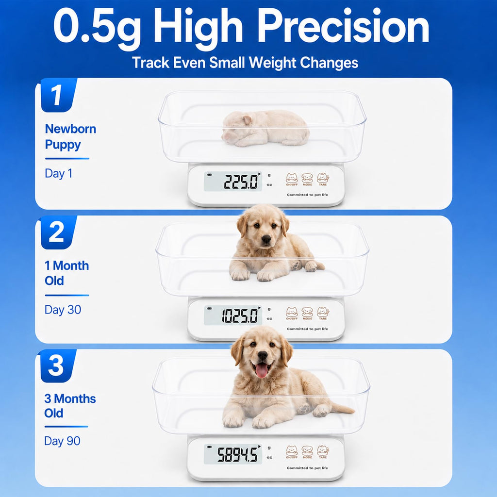 0.5g High Precision Digital Pet Scale L329706