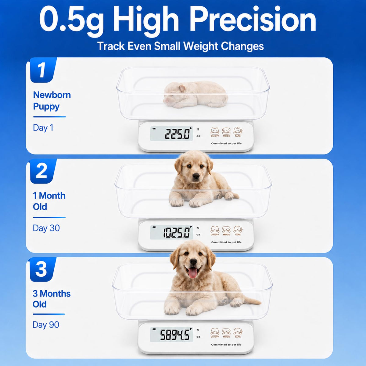 0.5g High Precision Digital Pet Scale L329706