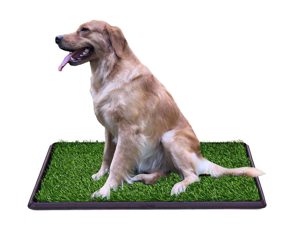 Indoor Outdoor Dog Potty Trainer 20" X 25" W6347