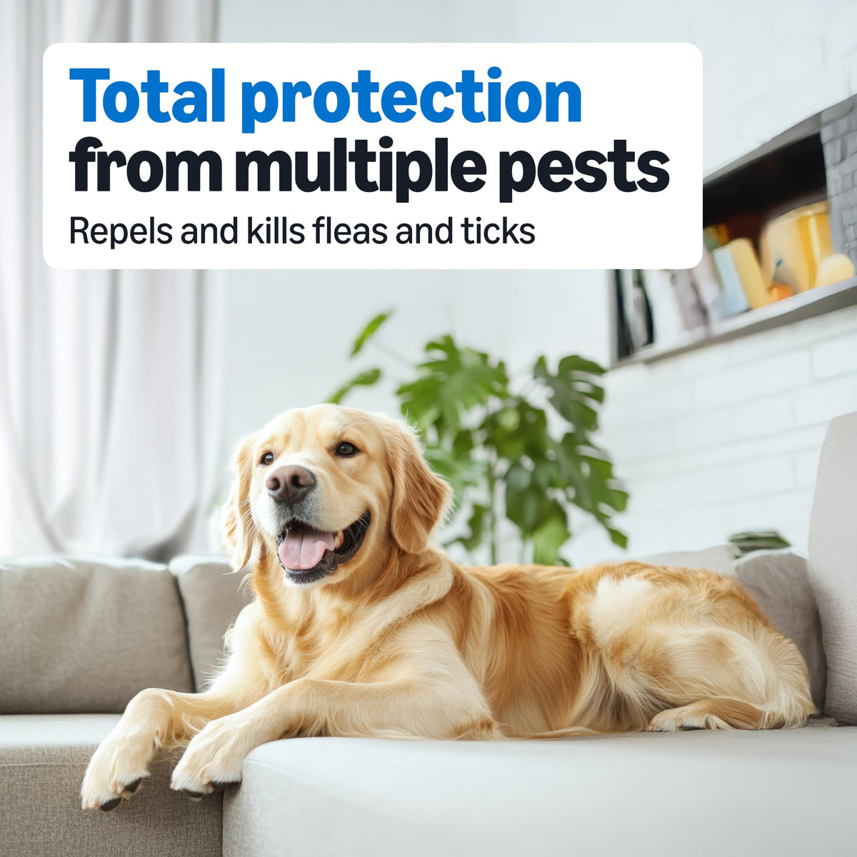 Flea and Tick Topical Treatment for Medium Dogs 3 Count Y510