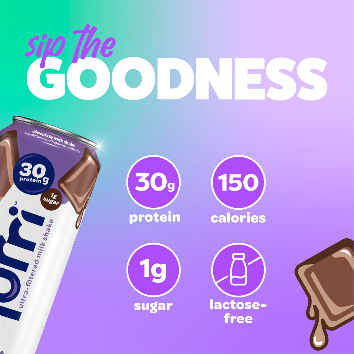 Chocolate 30g Protein Ultra Filtered Milk Shake T2102
