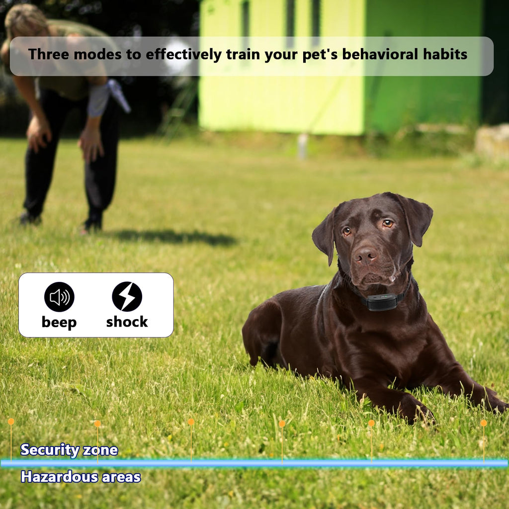 In-Ground Electric Dog Fence System with 2 Collars Z75016