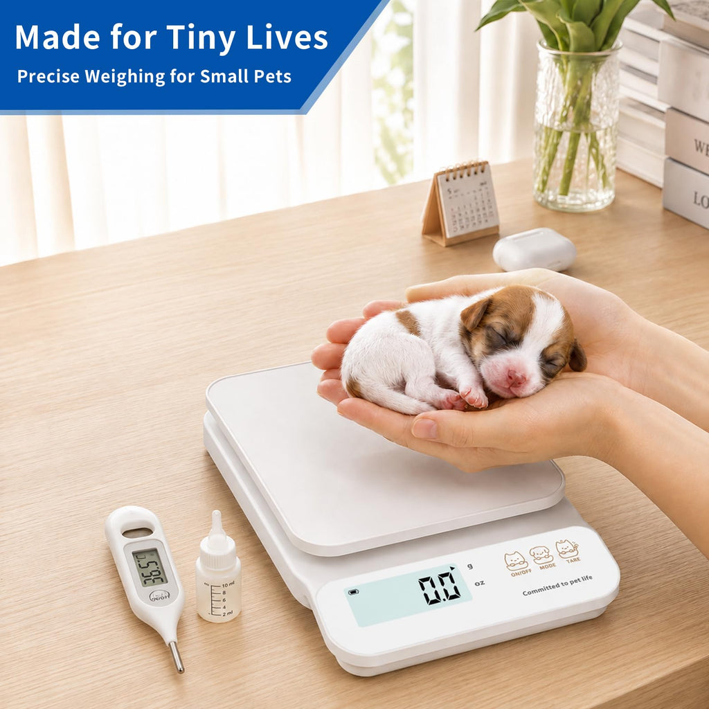 0.5g High Precision Digital Pet Scale L329706