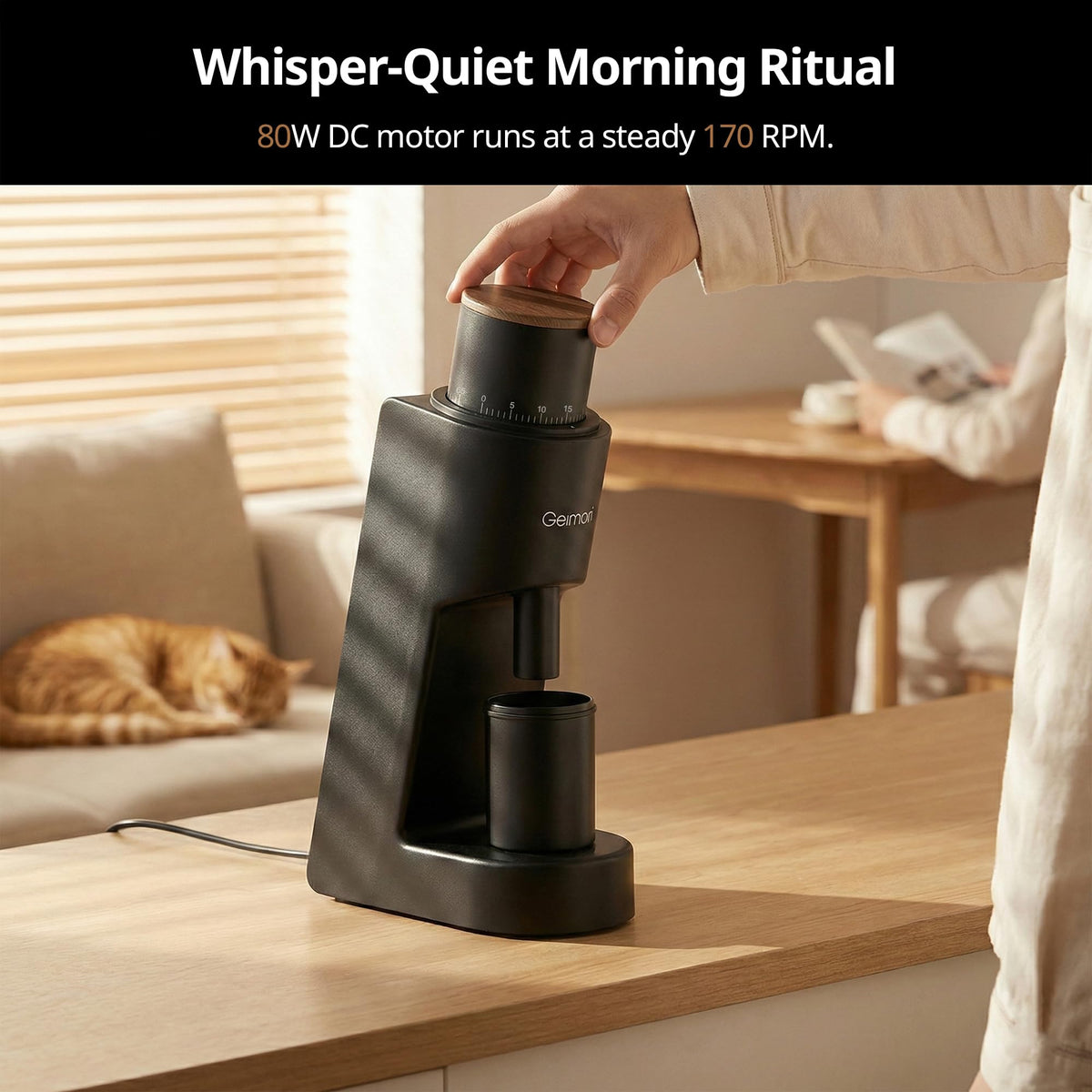 Coffee Grinder with Conical Burr L1935