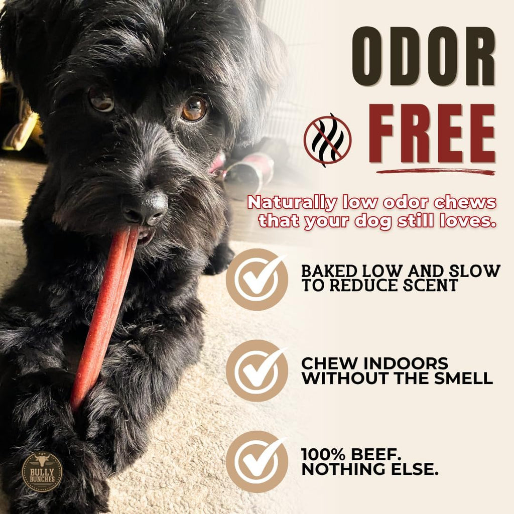 6" 5 Pack Odor-Free Bully Sticks Dog Treats U240619