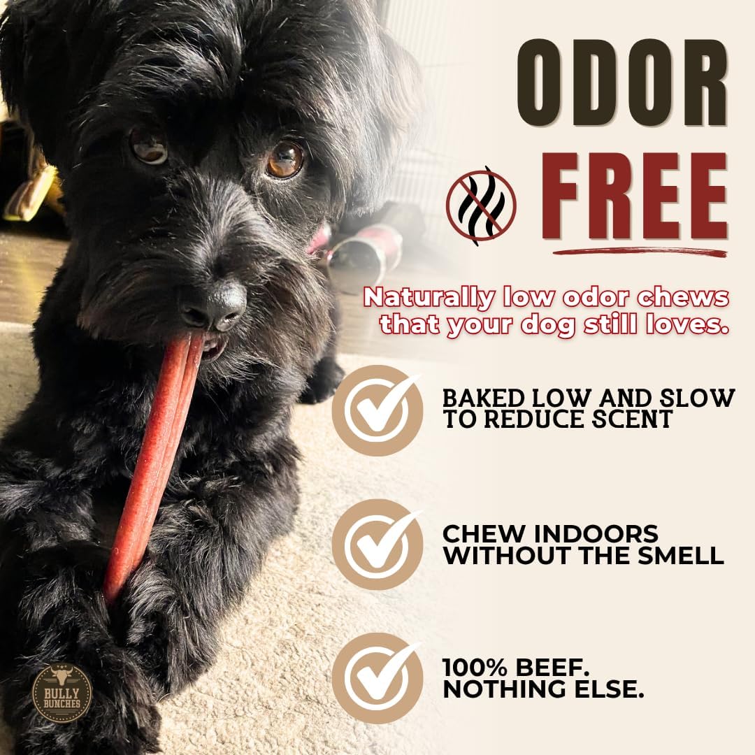 6" 5 Pack Odor-Free Bully Sticks Dog Treats U240619