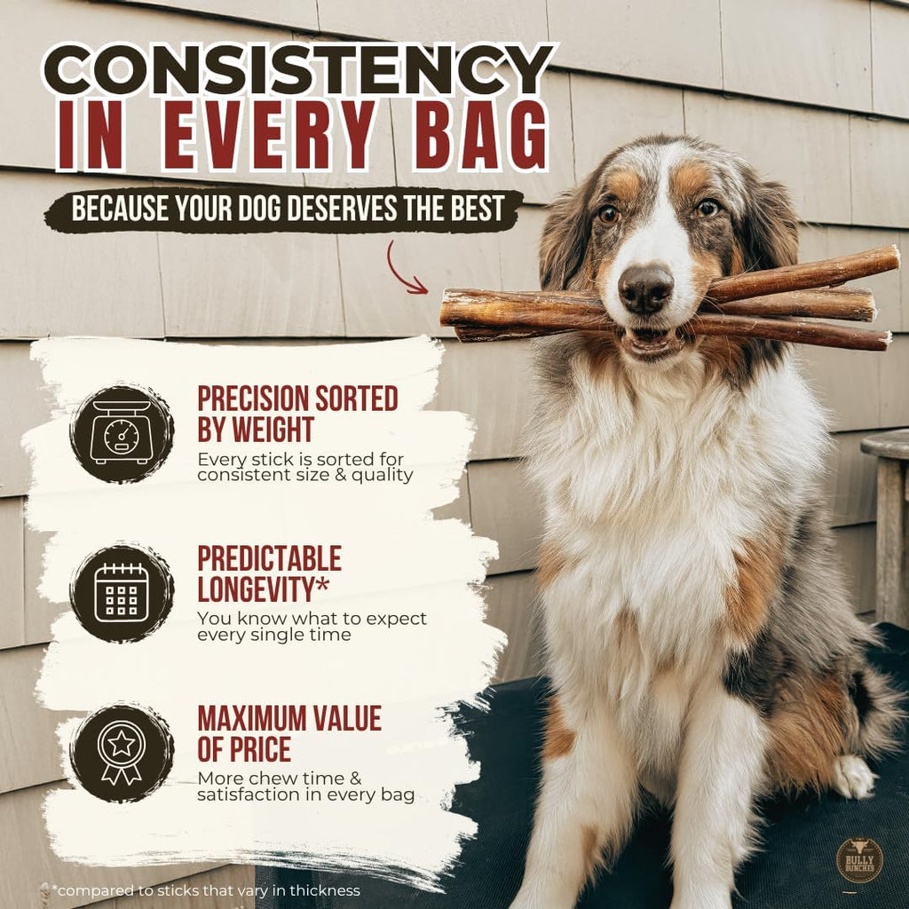 6" 5 Pack Odor-Free Bully Sticks Dog Treats U240619