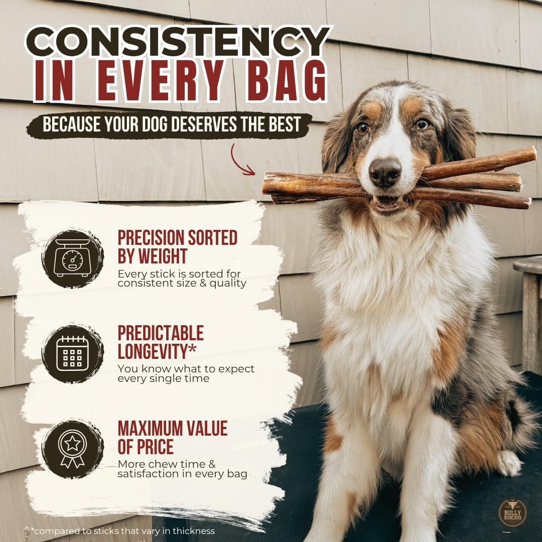 6" 5 Pack Odor-Free Bully Sticks Dog Treats U240619