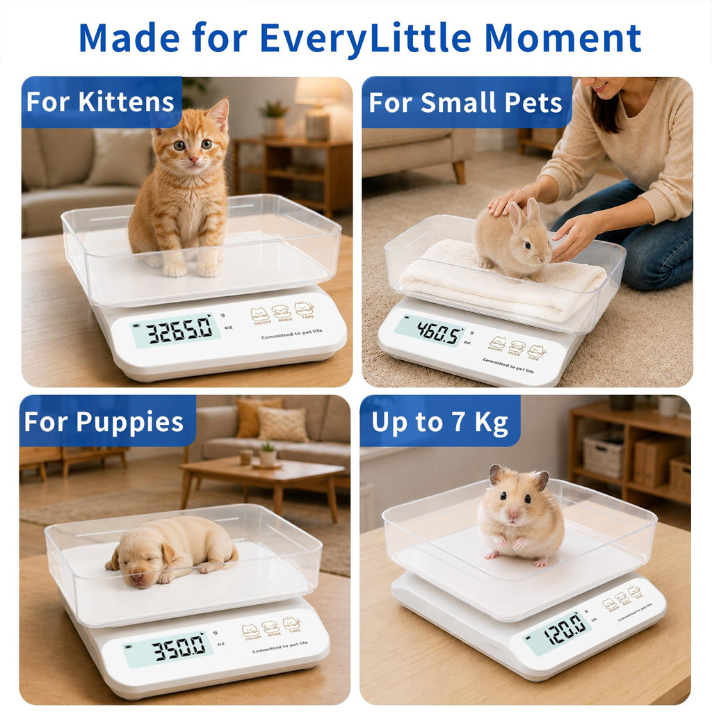 0.5g High Precision Digital Pet Scale L329706