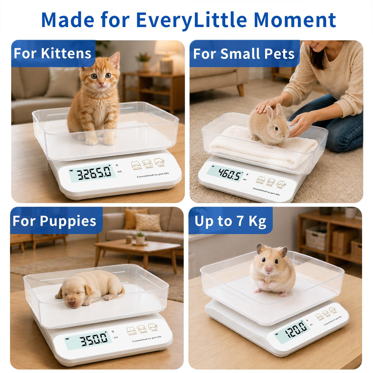 0.5g High Precision Digital Pet Scale L329706