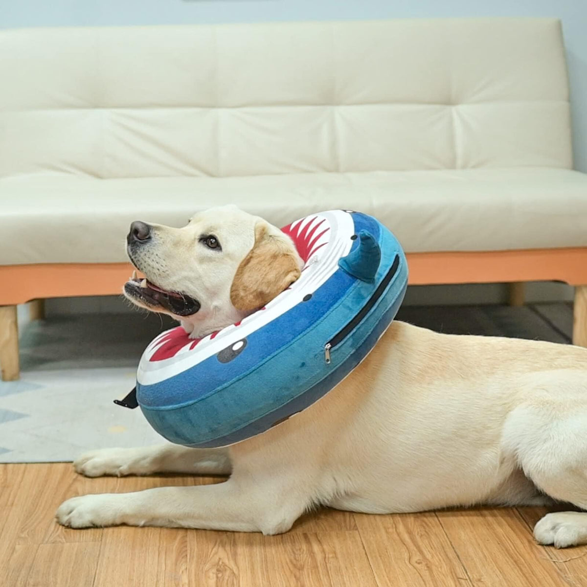 Dog Cone Collar Alternative X882065
