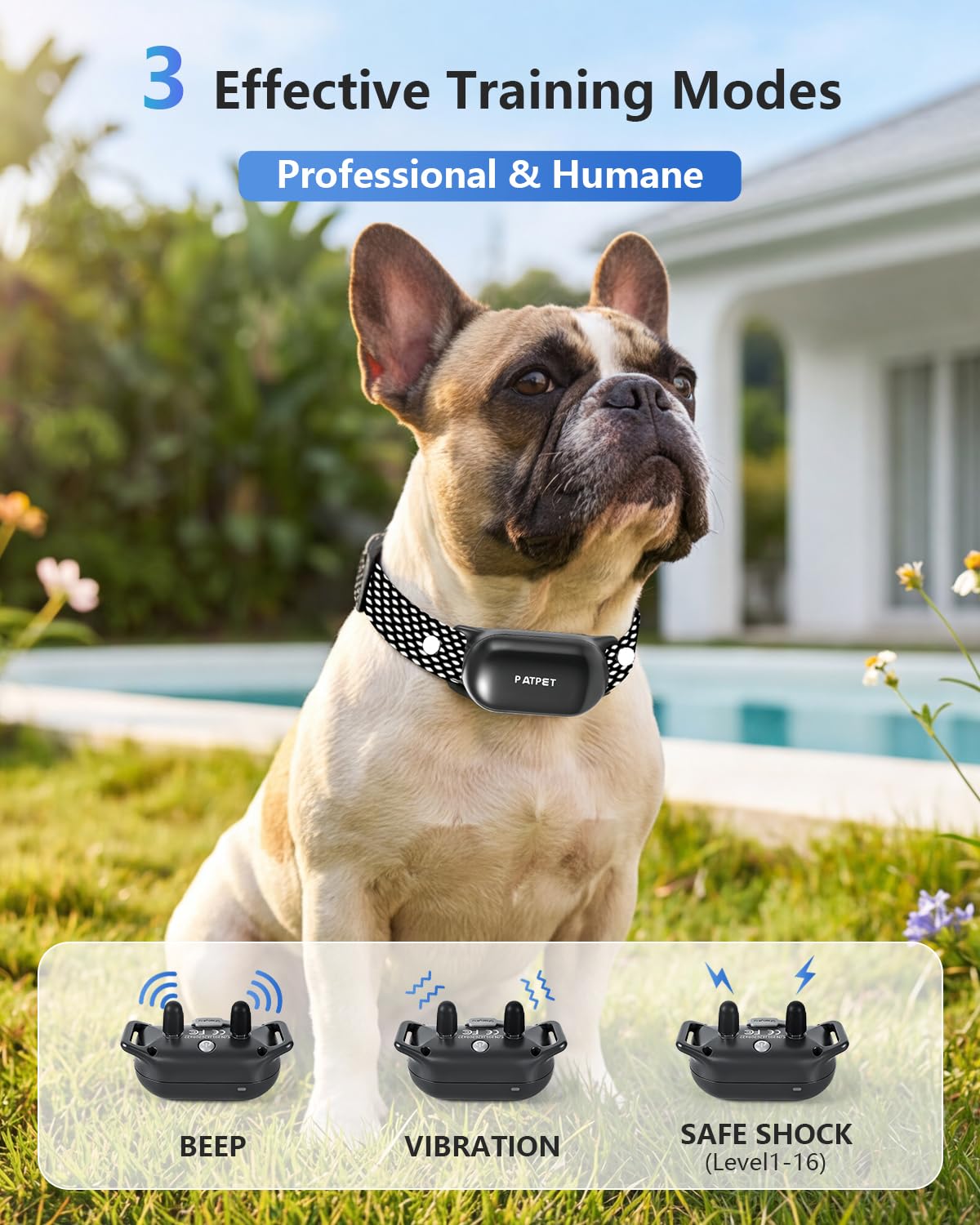 Dog Shock Collar with Remote Control Y402