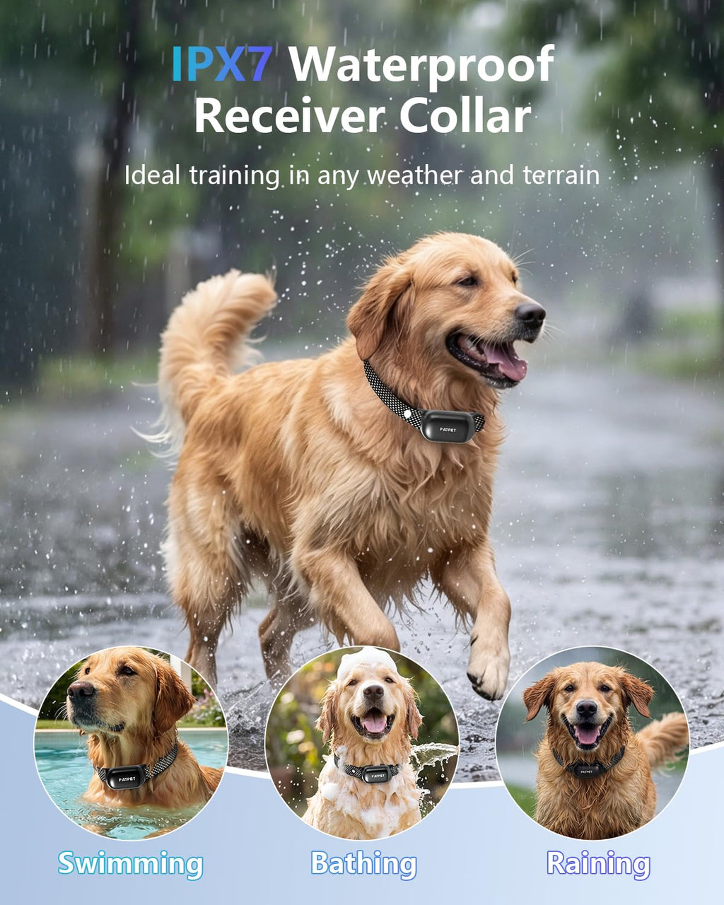 Dog Shock Collar with Remote Control Y402