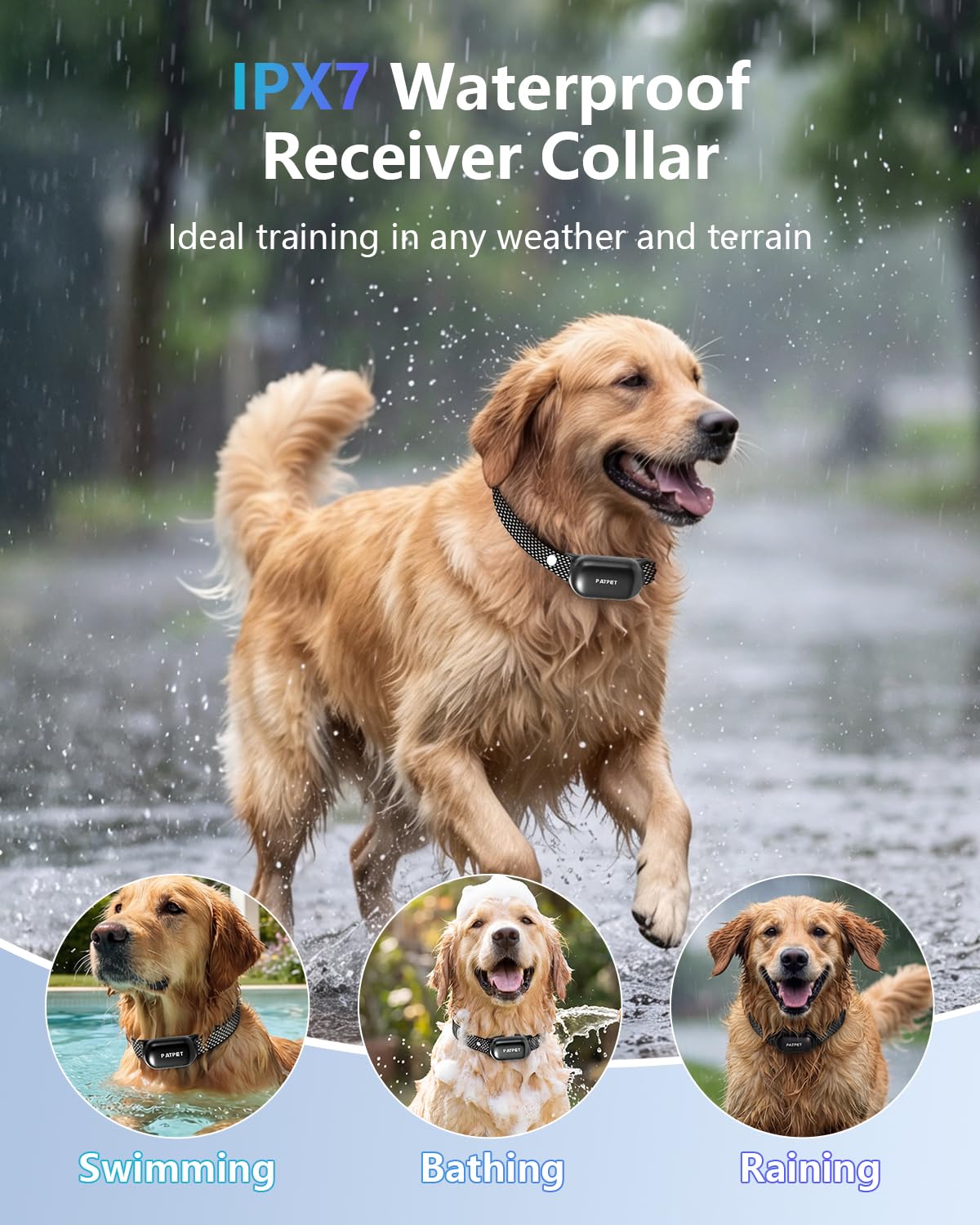 Dog Shock Collar with Remote Control Y402