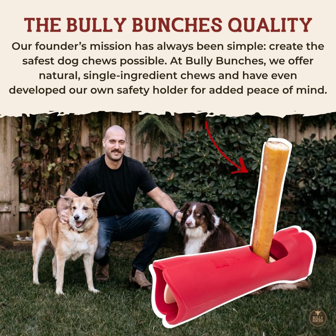 6" 5 Pack Odor-Free Bully Sticks Dog Treats U240619