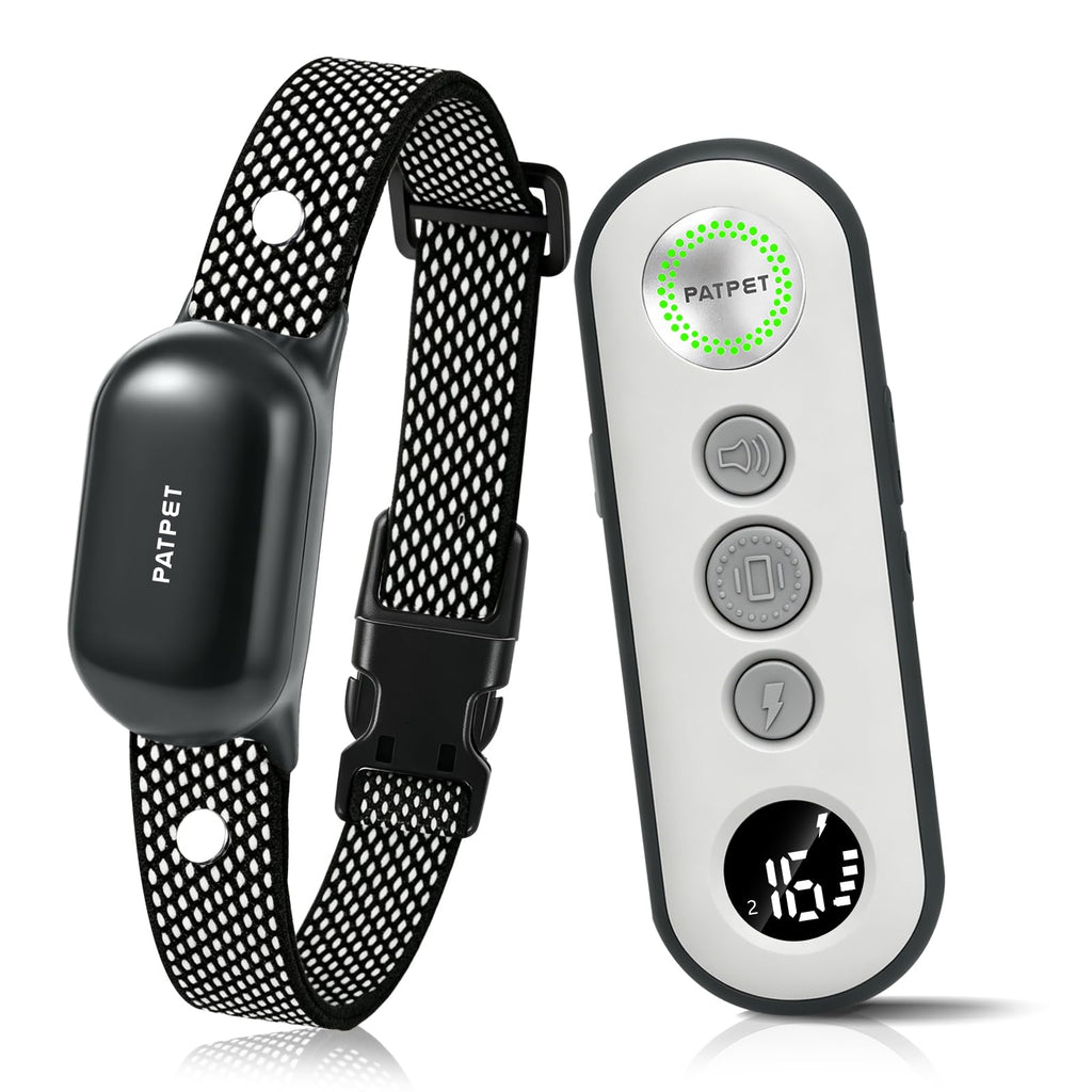 Dog Shock Collar with Remote Control Y402