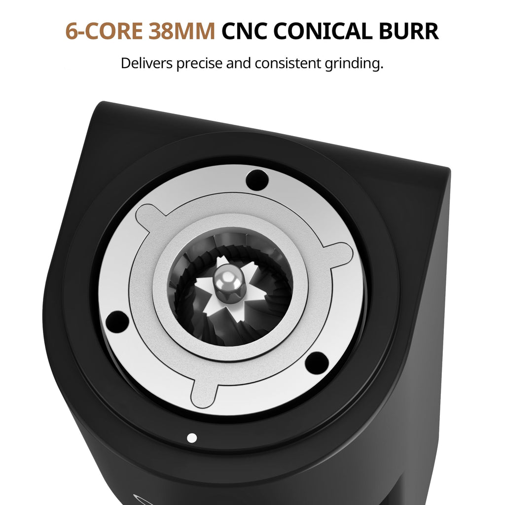 Coffee Grinder with Conical Burr L1935