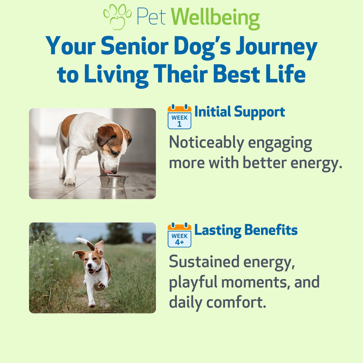Senior Immune & Cognitive 2 oz J8881