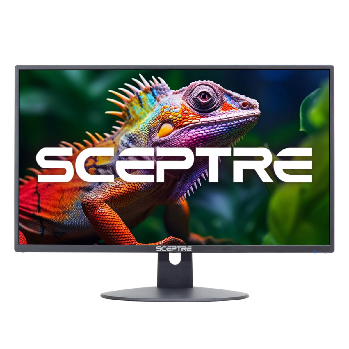 24-inch 1080p LED Monitor P64275
