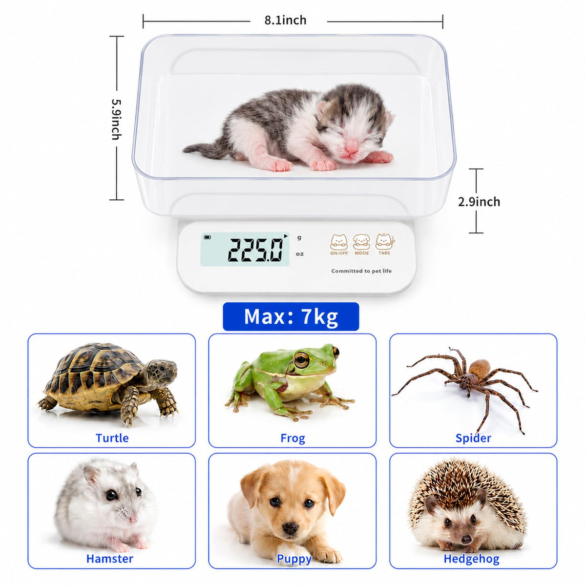 0.5g High Precision Digital Pet Scale L329706