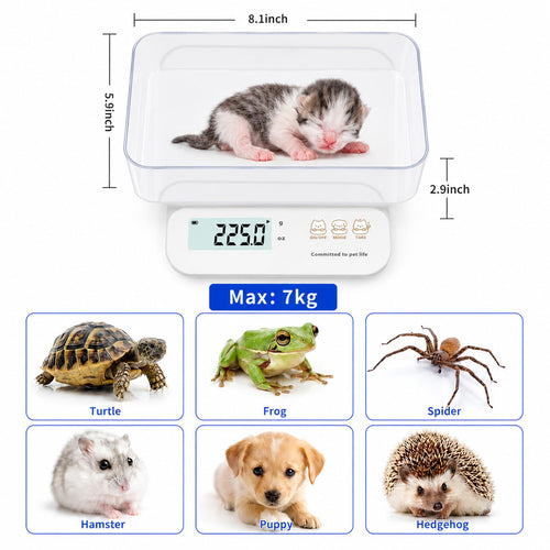 0.5g High Precision Digital Pet Scale L329706