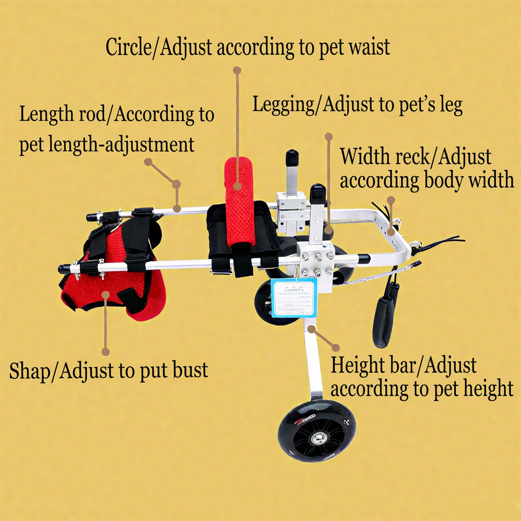 Adjustable 2 Wheels Pet Wheelchair A825723
