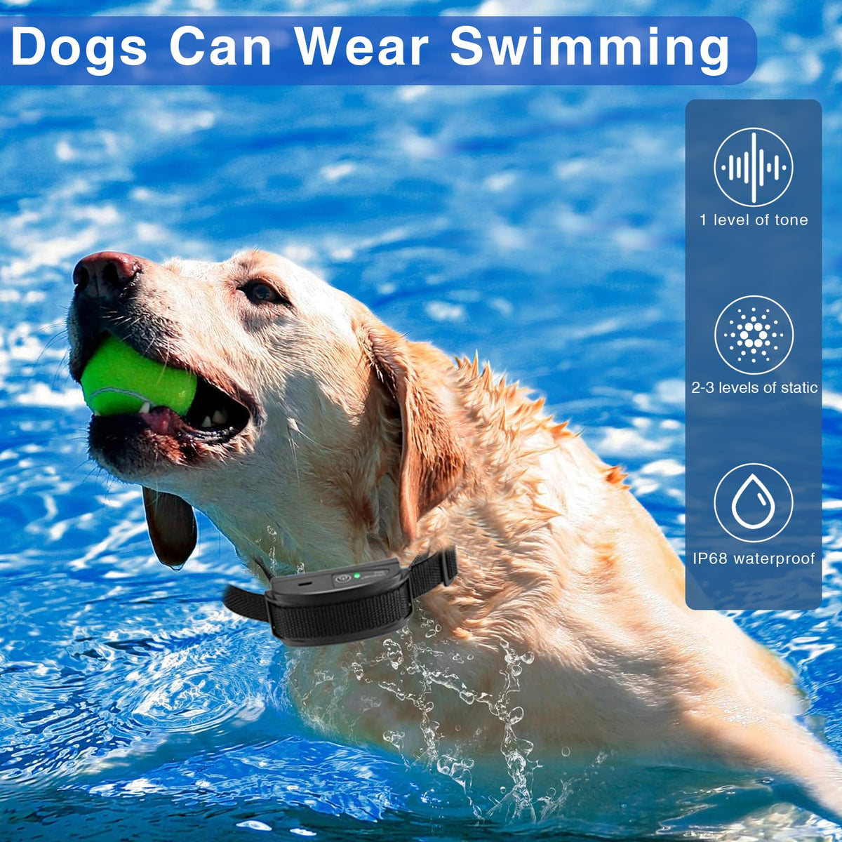 In-Ground Electric Dog Fence System with 2 Collars Z75016