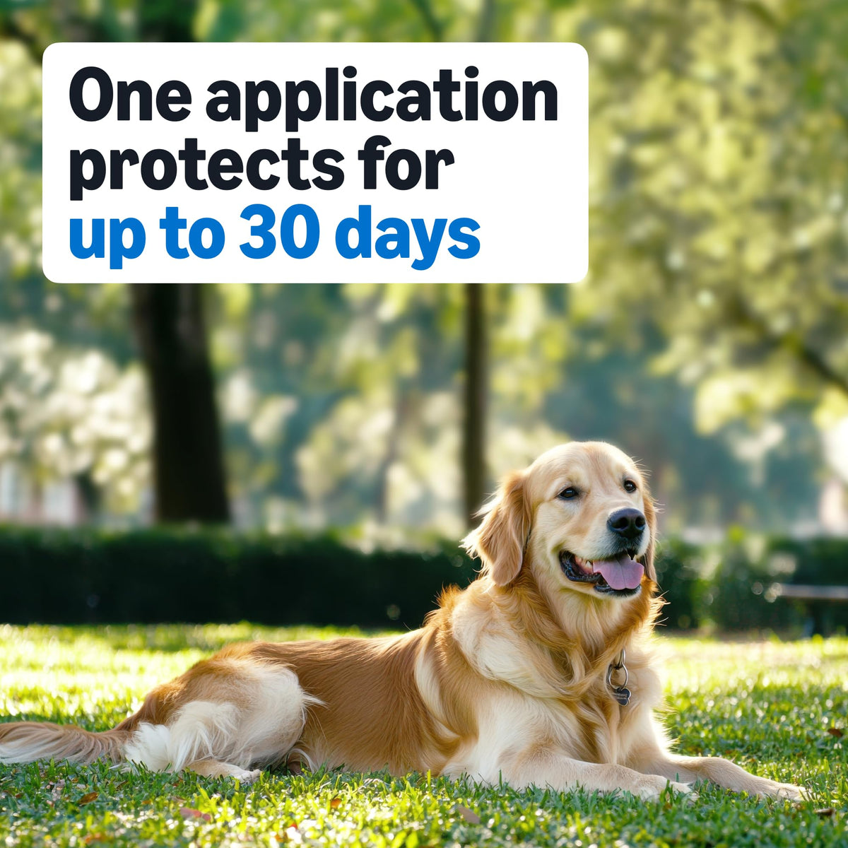Flea and Tick Topical Treatment for Medium Dogs 3 Count Y510