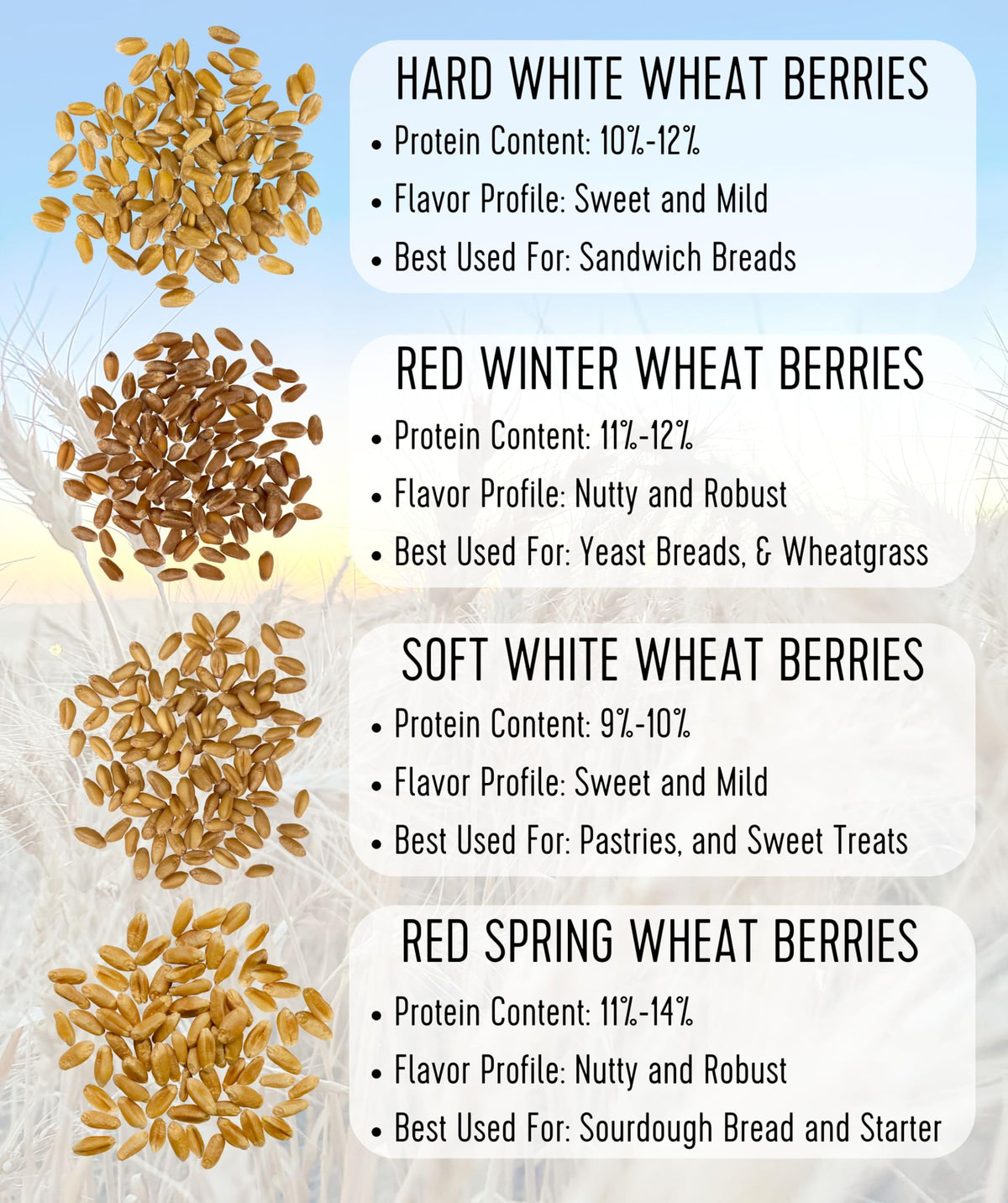 Hard Red Winter Wheat Berries 25 LBS Bucket B703