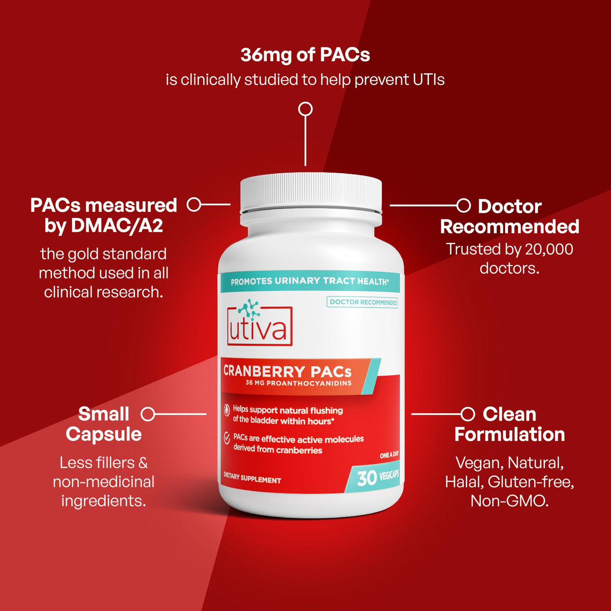 Cranberry PACs 36 mg 30 Capsules D6335