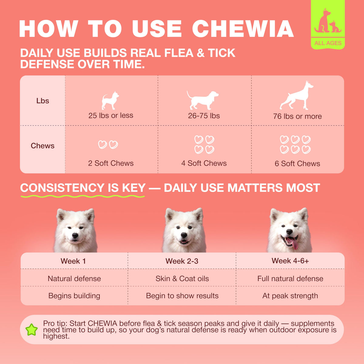 Dog Flea & Tick Chews W997026