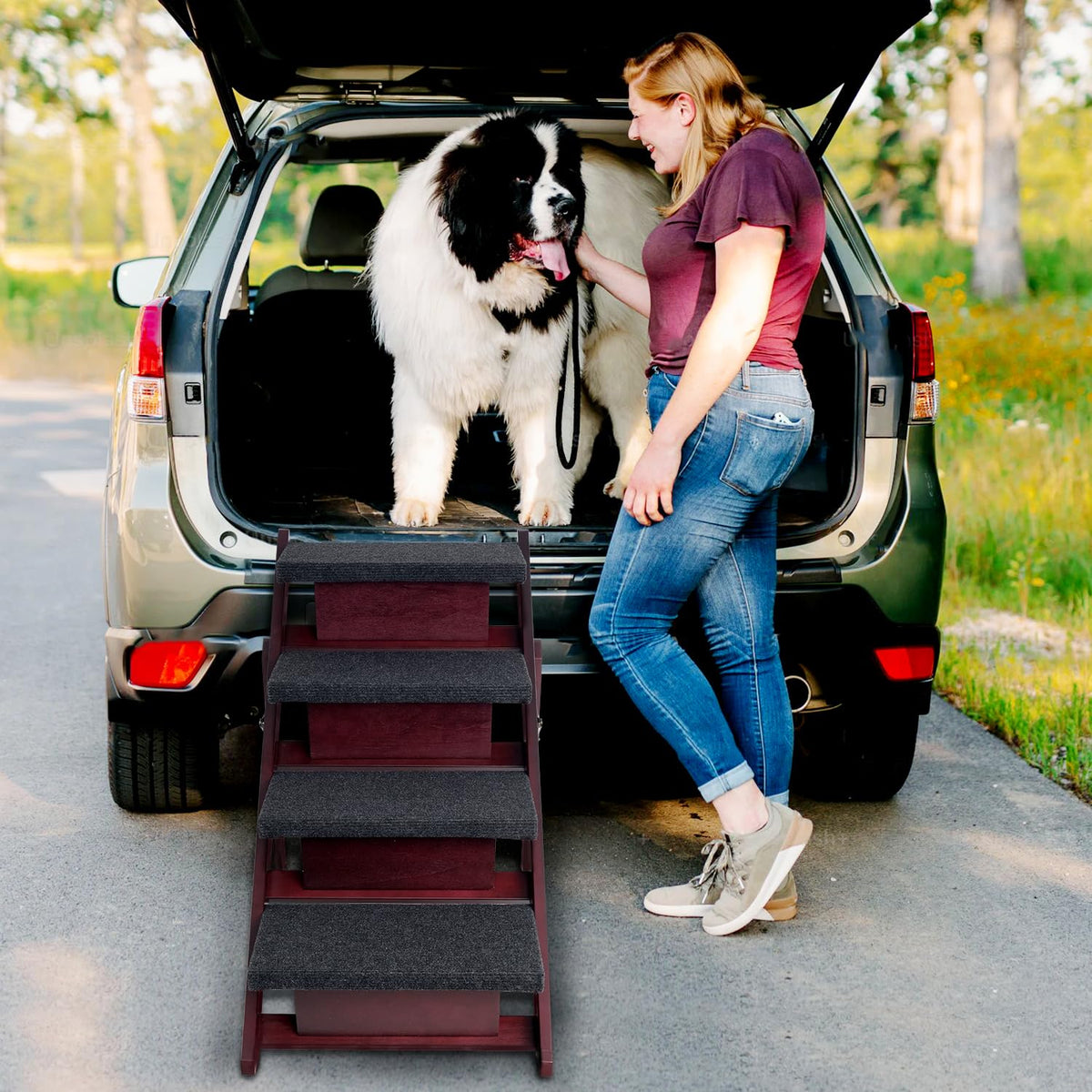 Foldable 4 Steps Wooden Dog Stairs N30190