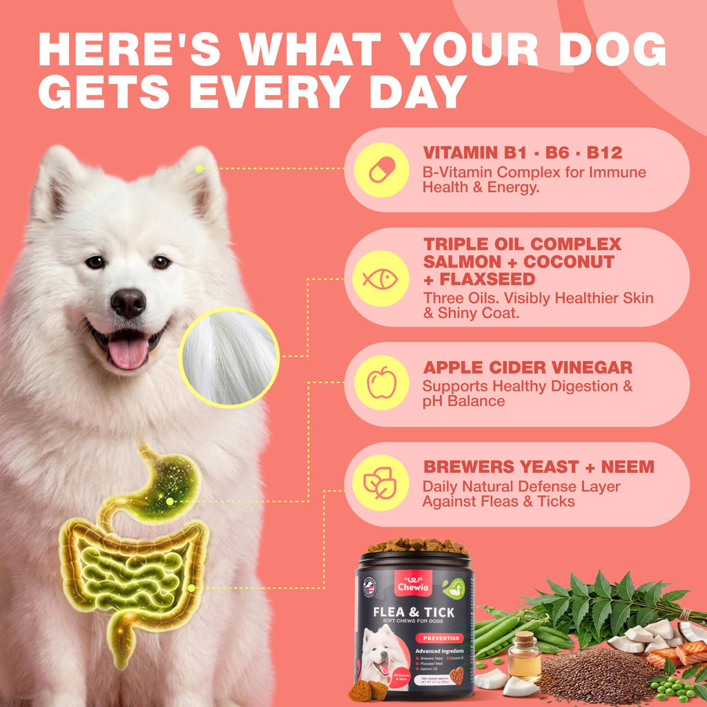 Dog Flea & Tick Chews W997026