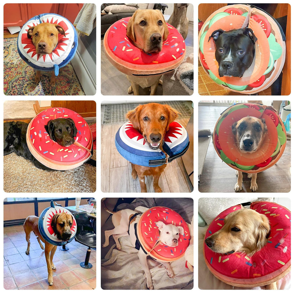 Dog Cone Collar Alternative X882065