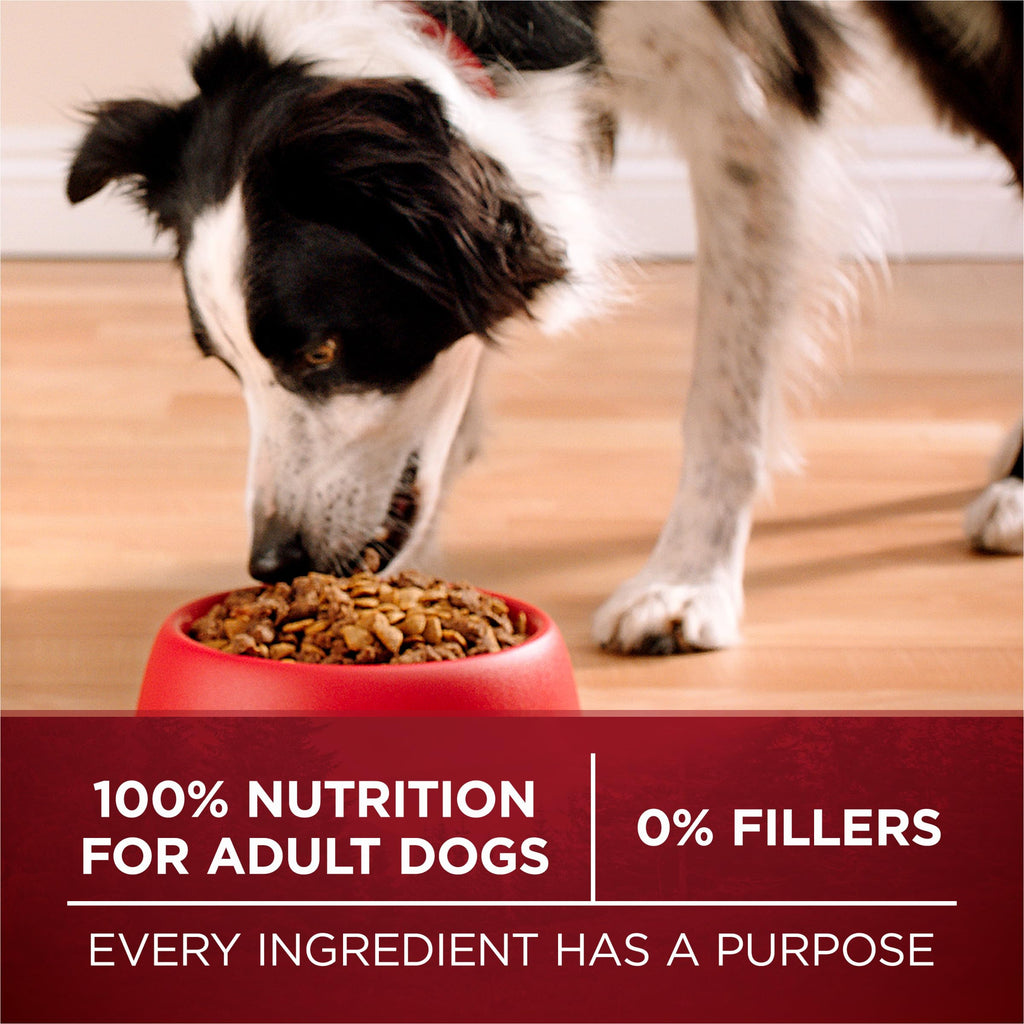 High Protein Chicken & Duck Dog Food P657