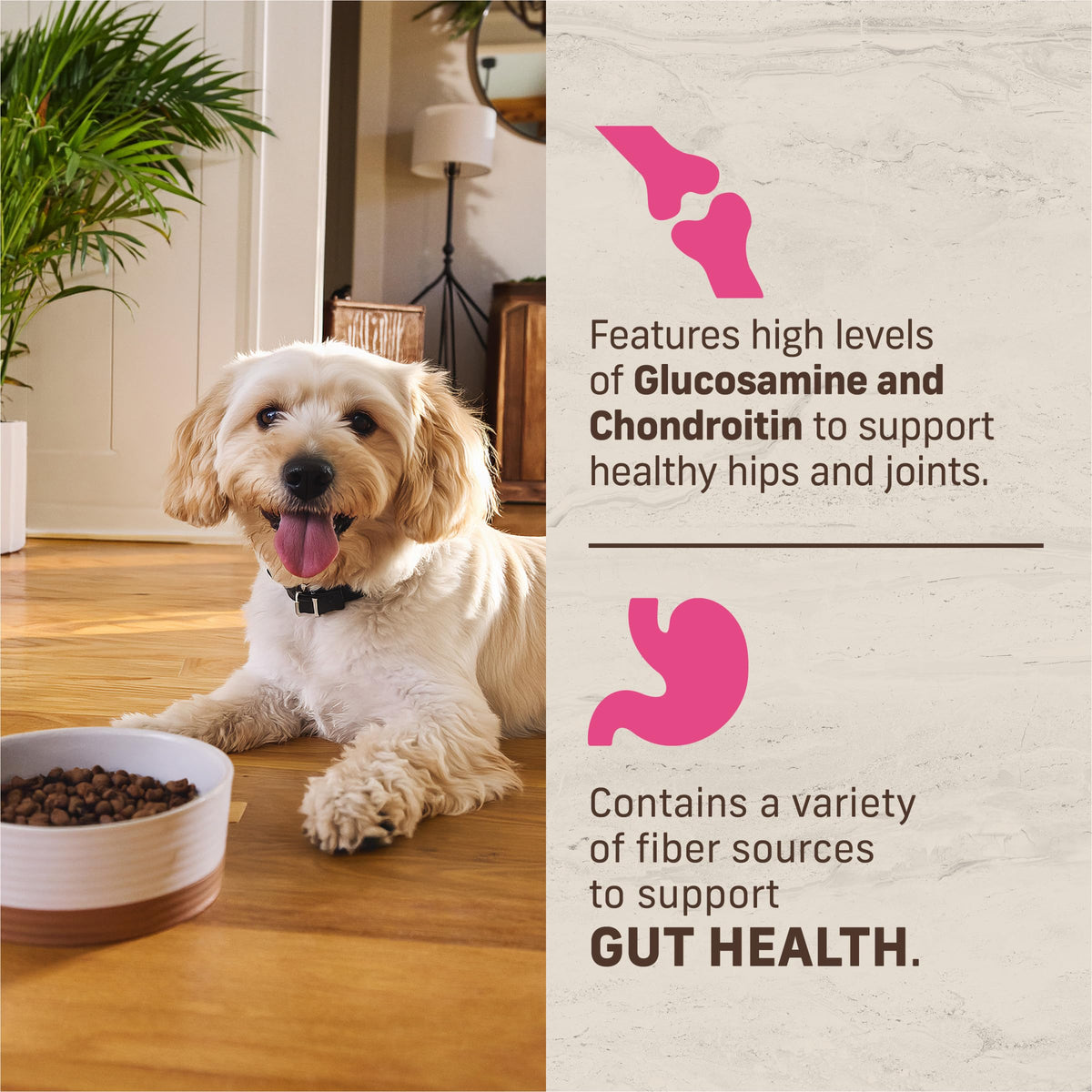 Dry Dog Food for Small Dogs 4 lb Bag Q9441