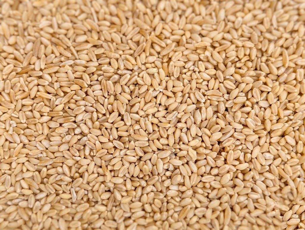 Organic Hard White Wheat Berries 25 Pounds Z73720