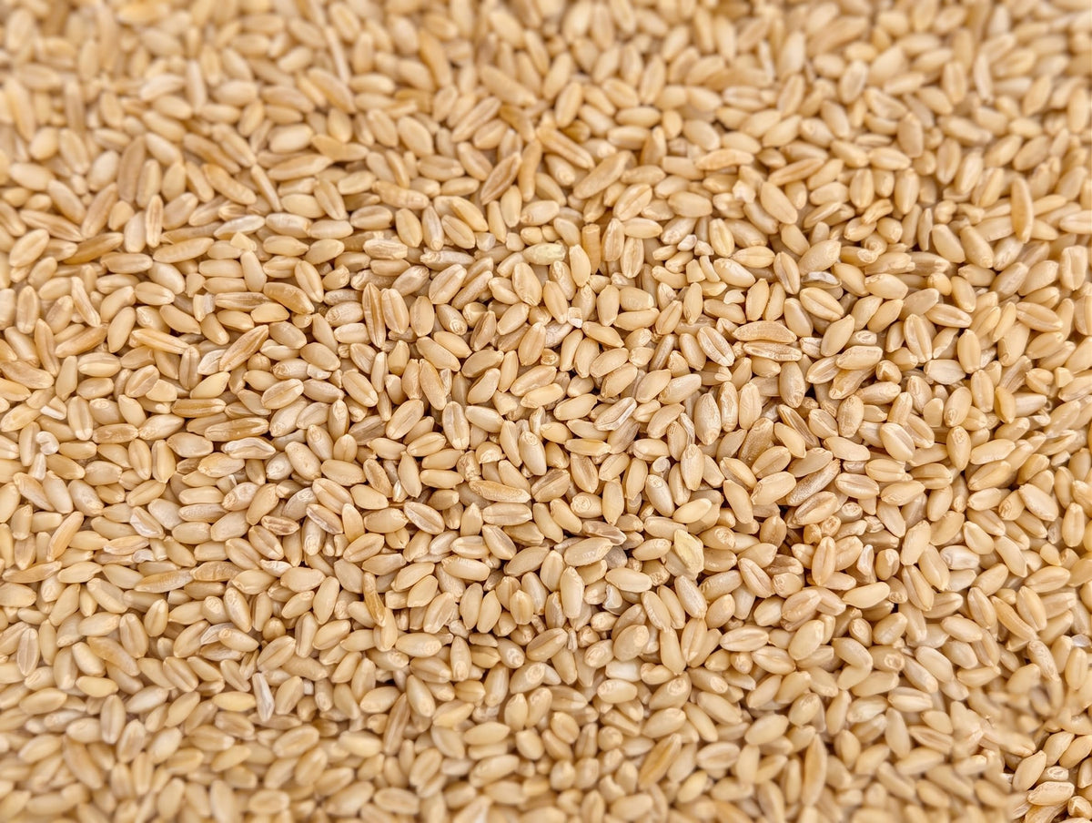 Organic Hard White Wheat Berries 25 Pounds Z73720