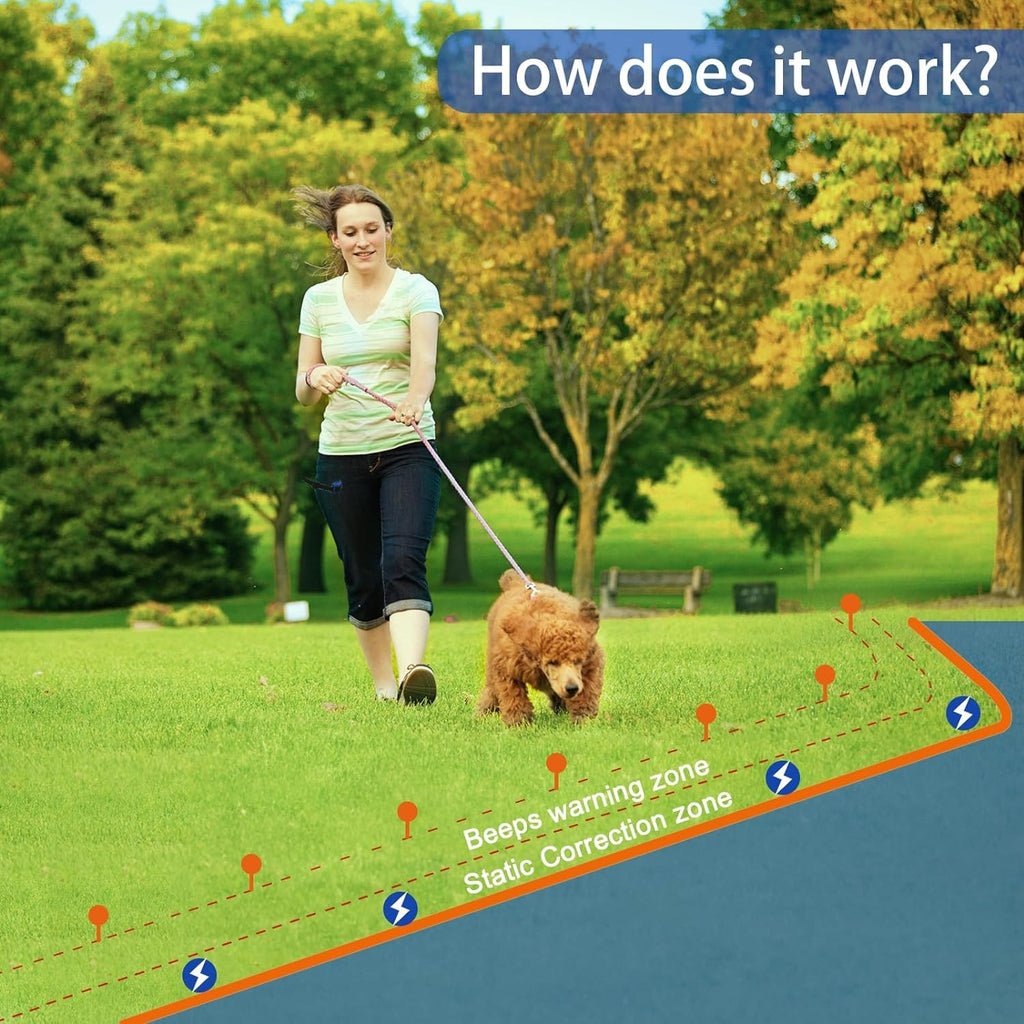 In-Ground Electric Dog Fence System with 2 Collars Z75016
