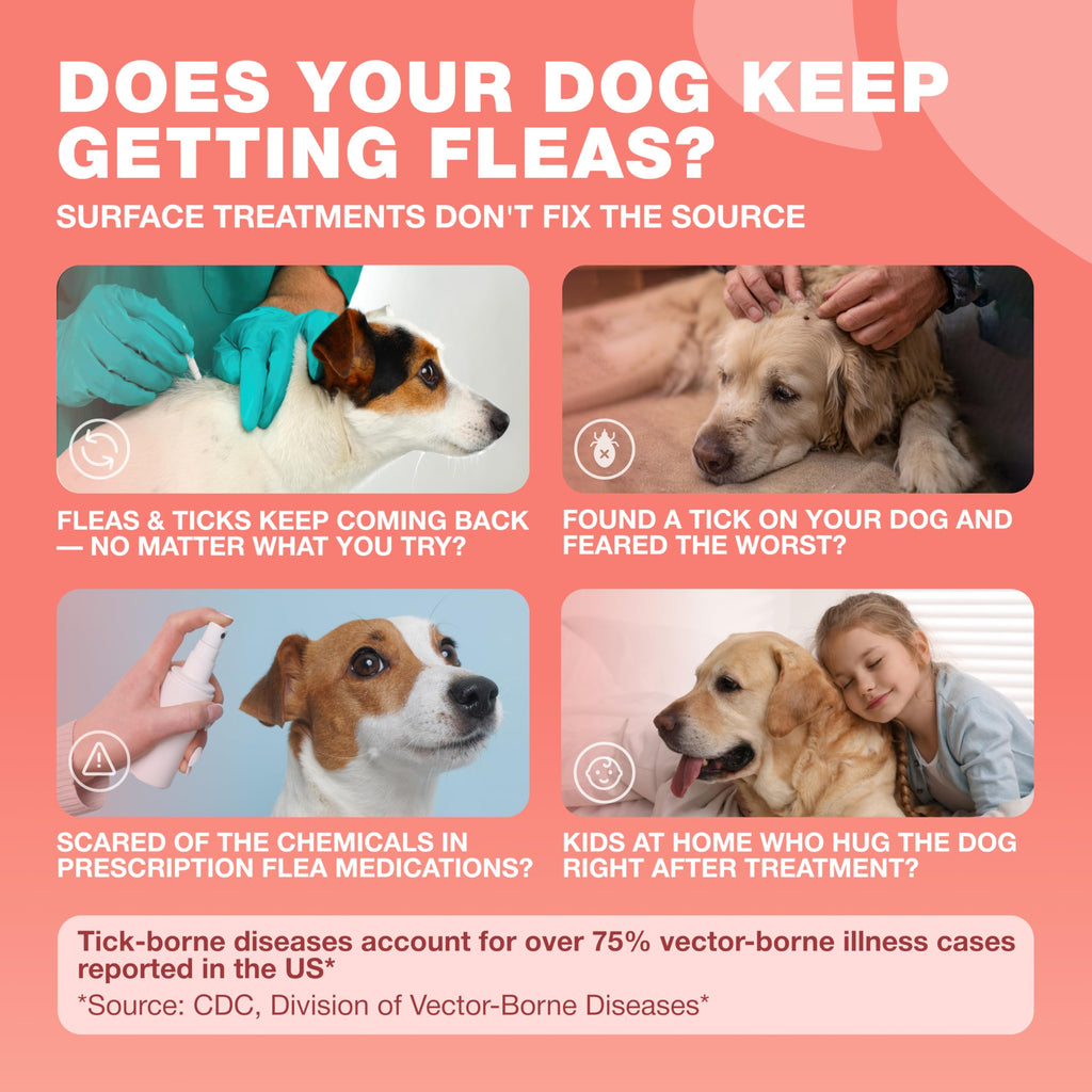 Dog Flea & Tick Chews W997026