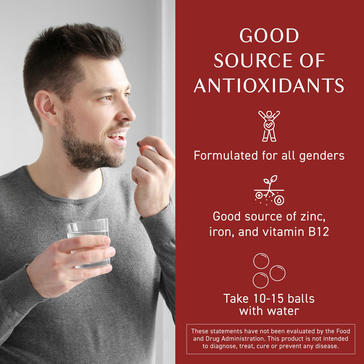 Black Garlic Supplement with Vitamin B, 6.4 Ounce Bottle, Pack of 2 Y7439