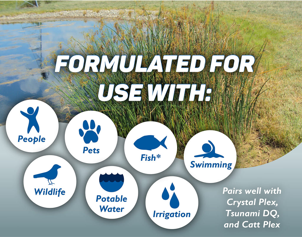 Aquatic Surfactant Quart C8146